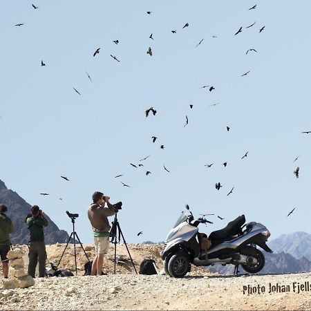 The Birdwatchers Nest Be'er Ora Exterior foto